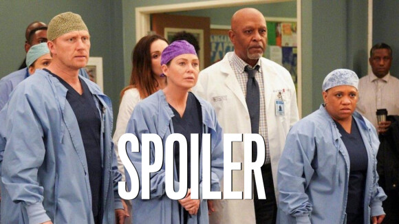 Grey's Anatomy saison 18 : bientôt la fin ? Ellen Pompeo veut arrêter la série !