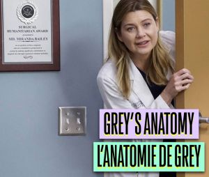 Grey's Anatomy traduit en français