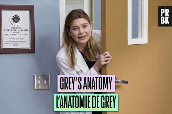 Grey's Anatomy traduit en français