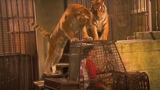 Fort Boyard : surprise, les tigres vont disparaître de l'émission dès cet été