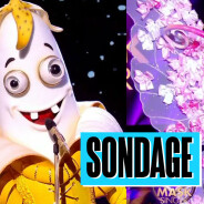 SONDAGE Mask Singer 2022 : banane, papillon ou cerf, qui doit gagner ?