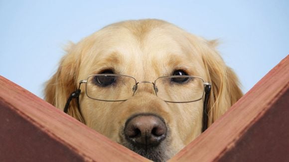 La dyslexie a-t-elle sauvé l'humanité ? C'est la théorie scientifique du moment