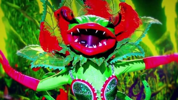 Mask Singer 2023 : qui est la plante carnivore ? Malgré les indices, les internautes sont complètement paumés et évoquent les plus grandes stars