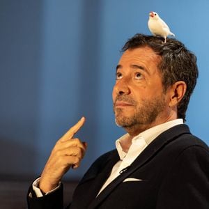 Exclusif - Bernard Montiel - Enregistrement de l'émission "Animaux Stars", présentée par B.Montiel et diffusée le 8 octobre à 17h30 sur Animaux TV © Jérémy Melloul / Bestimage 