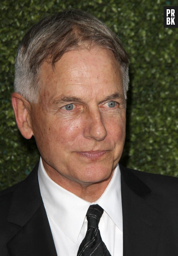 122941, Mark Harmon attends The 2014 Television Critics Association Summer Press Tour-CBS, CW and Showtime in Los Angeles on Thursday July 17th, 2014. Photograph: © /PCN/ABACAPRESS.COM