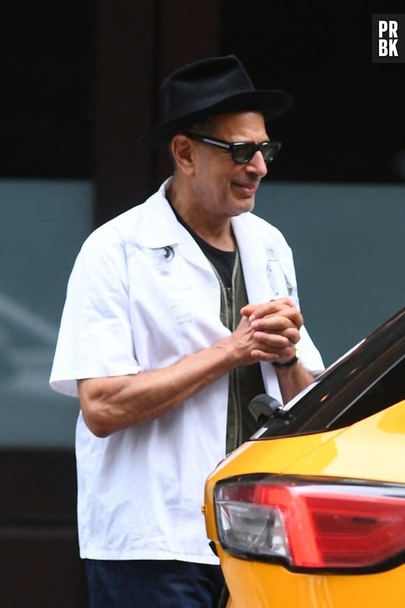 New York City, NY - Emilie Livingston, avec Jeff Goldblum, est vue à New York portant un haut sans manches noir et un pantalon large avec un imprimé éclectique et artistique en jaune, noir et marron. Elle accessoirise avec des lunettes de soleil noires et des sandales compensées à semelles en liège, ses cheveux longs coiffés en vagues lâches. Sur la photo : Jeff Goldblum
