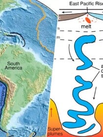 Une découverte digne d'un film de science-fiction : cette structure étrange se déplace lentement dans les fonds marins du Pérou... Elle est là depuis l'époque des dinosaures !