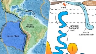 Une découverte digne d'un film de science-fiction : cette structure étrange se déplace lentement dans les fonds marins du Pérou... Elle est là depuis l'époque des dinosaures !