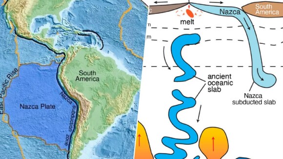 Une découverte digne d'un film de science-fiction : cette structure étrange se déplace lentement dans les fonds marins du Pérou... Elle est là depuis l'époque des dinosaures !