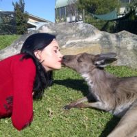 Katy Perry ... I Kissed a...kangourou (PHOTO)