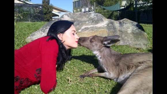 Katy Perry ... I Kissed a...kangourou (PHOTO)