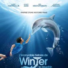 Box Office US : un dauphin devant Brad Pitt et le Roi Lion