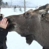 Vanessa Hudgens dans The Frozen Ground : 1ere photo de tournage