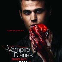 Vampire Diaries saison 3 : Stefan version Chuck Norris (SPOILER)