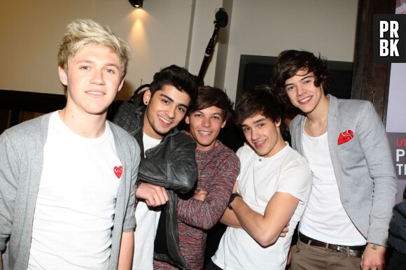 One Direction 5 garçons dans le vent