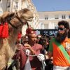 Un chameau à Cannes, ça se remarque !