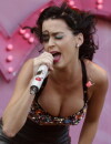Katy Perry se place dans le top 5 !