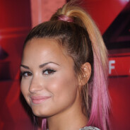 Demi Lovato et Vanessa Hudgens : le retour des cheveux flashy ! (PHOTOS)