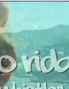 Flo Rida met l'ambiance avec Whistle