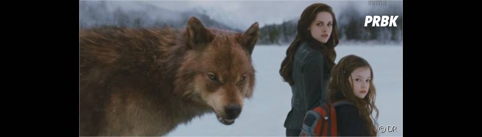 Get Wallpaper Les Loups Garous Et Vampires Allies Dans Twilight 5 Purebreak For Free