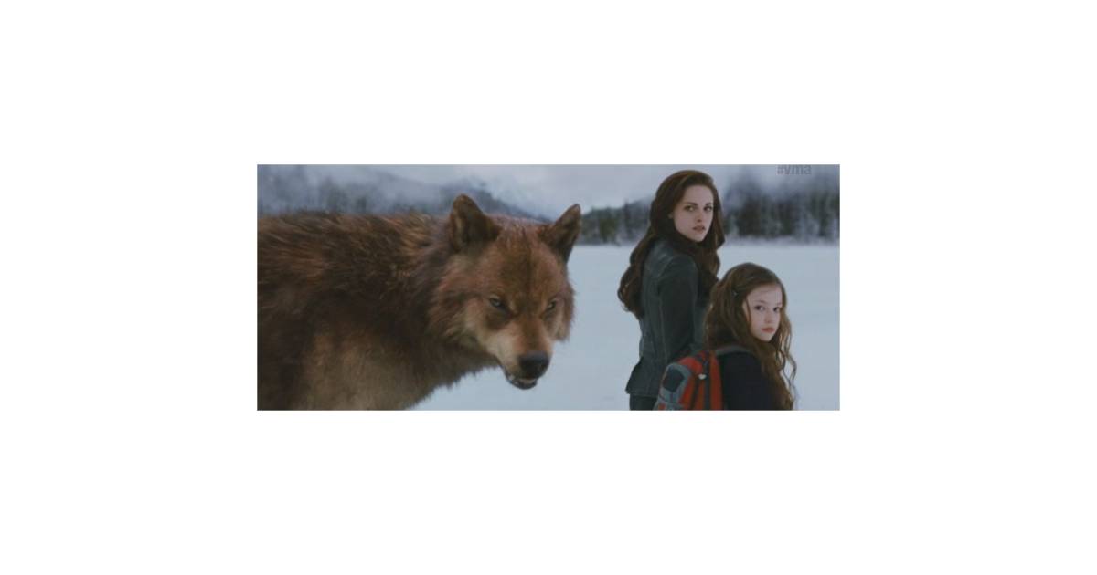 Les loupsgarous et vampires alliés dans Twilight 5 ? Purebreak