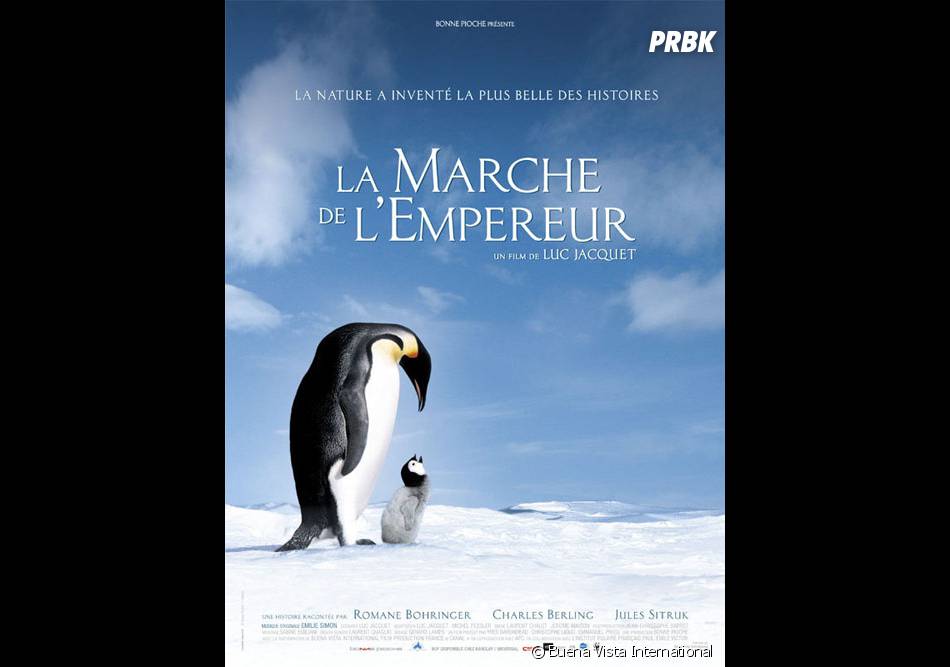 La Marche De L Empereur Film Complet La Marche de l'Empereur : 19 962 345 spectateurs - Purebreak