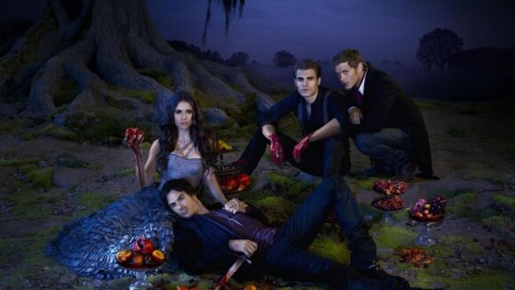 The Vampire Diaries saison 4 : la rupture se précise ! (SPOILER)