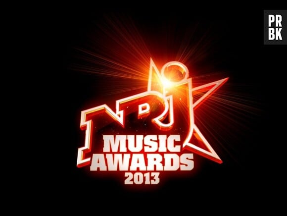 Les NRJ Music Awards 2013 : à vous de voter