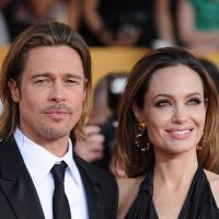 Brad Pitt et Angelina Jolie : une raison bien particulière d&#039;aimer la France