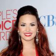 Demi Lovato pourrait continuer l'aventure !