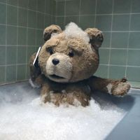 Oscars 2013 : l'ours Ted tapera l'incruste !
