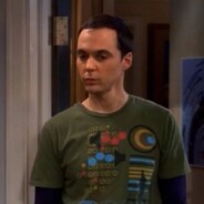 The Big Bang Theory saison 6 : Sheldon spoile Walking Dead, Twitter rage