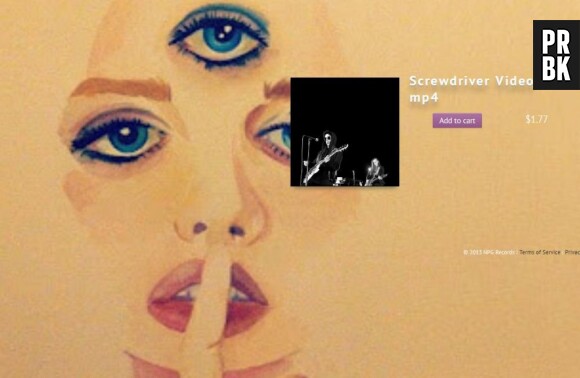 Le clip Screwdriver de Prince est visionnable sur son site en échange de 1,77$.