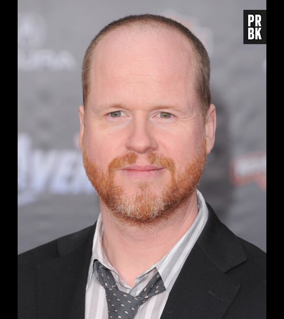 Joss Whedon parle de SHIELD