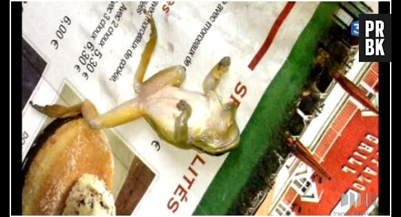 Une mère de famille a trouvé une grenouille dans son assiette