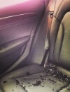 La voiture de Ian Somerhalder cambriolée