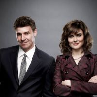 Bones saison 8 : fiançailles dans l'air ? (SPOILER)