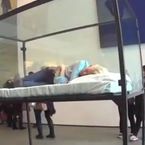 Tilda Swinton : petite sieste artistique au MoMa