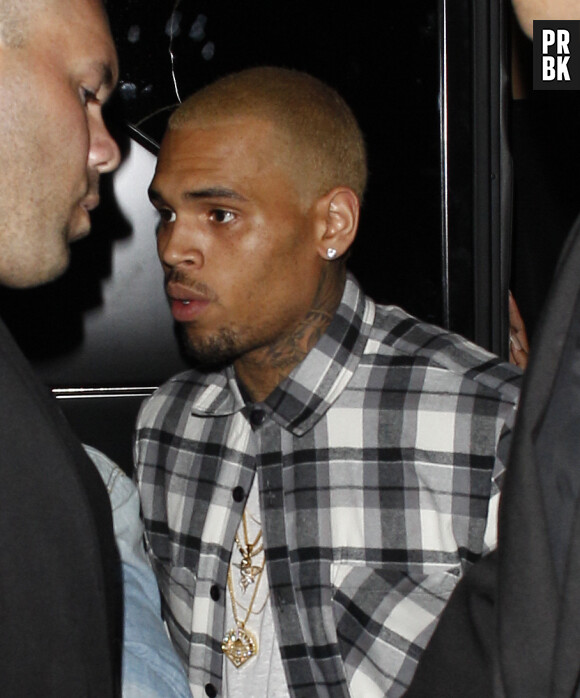 Chris Brown fait la fête sans Rihanna