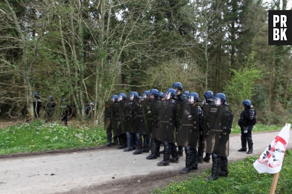 Une trentaine de gendarmes ont été mobilisés dans le Val d'Oise