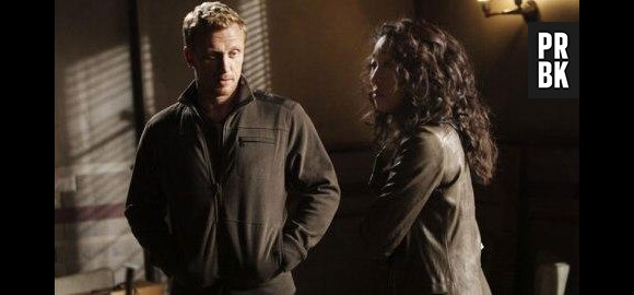 Que vont faire Owen et Cristina dans la saison 10 de Grey's Anatomy ?