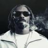 Snoop Dogg fumant dans Ashtrays and Heartbreaks