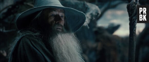 Le Hobbit : La Désolation de Smaug : Gandalf est prêt à se battre