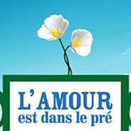 L&#039;amour est dans le pré - naissances, mariages, couples... les chiffres clés de l&#039;émission