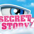 Secret Story 7 : la Voix est plus joueuse que jamais dans la Maison des secrets.