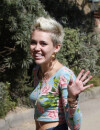 Miley Cyrus : une pétition qui a du mal à trouver son public sur la Toile.
