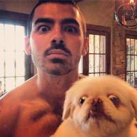 Joe Jonas torse nu sur Instagram... pour concurrencer son frère Nick ?