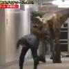 Japon : un homme effrayé par un dinosaure dans une caméra cachée