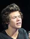 Harry Styles : le One Direction en couple ?