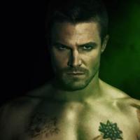 Arrow saison 2 : les acteurs torse nu sur les posters